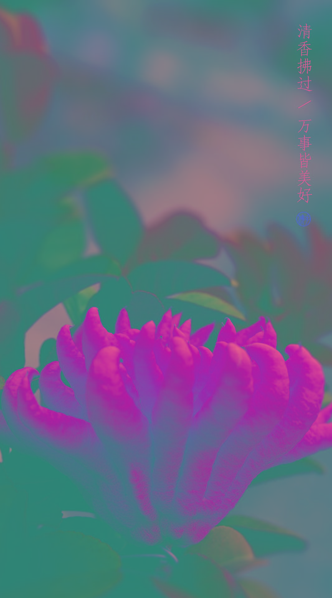 微信图片_20240416112758.jpg