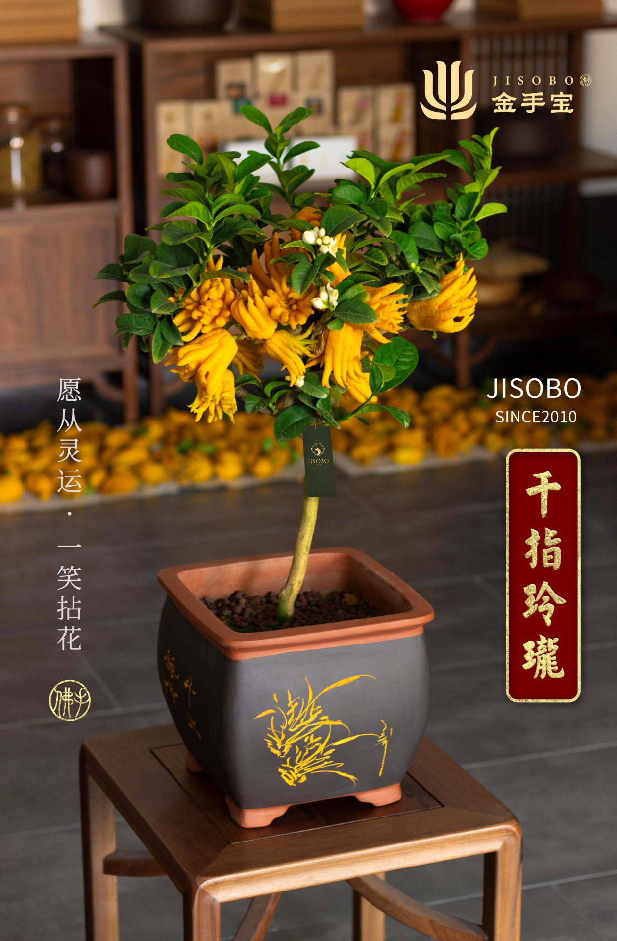 佛手盆栽—千指玲珑（竹筐）.jpg