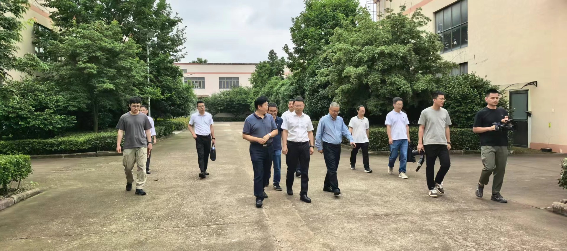 婺城区委书记帅朝晖调研金佛手产业，点赞企业创新成果！